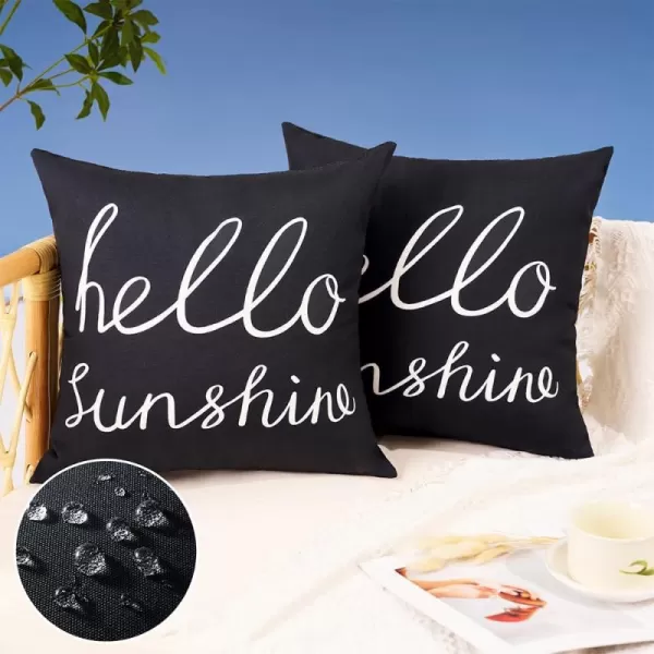 DFXSZ Outdoor Pillow Covers 18x18 Inch Set of 2 Hello Sunshine Decor Orange Waterproof Throw Pillow Covers Fall Outdoor Waterproof Pillow Covers Decor for Patio Funiture Garden Sofa Couch 021CBlack