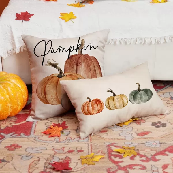 DFXSZ Fall Pillow Covers 12x20 Inch Fall Autumn Thanksgiving Orange Pumpkins Lumbar Pillow Covers Polyester Fall Decoration for Home Couch YZT71A12Orange White Green Pumpkin