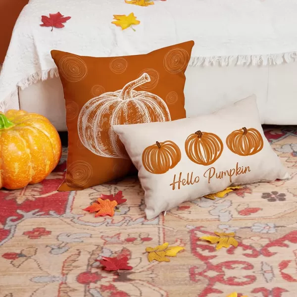 DFXSZ Fall Pillow Covers 12x20 Inch Fall Autumn Thanksgiving Orange Pumpkins Lumbar Pillow Covers Polyester Fall Decoration for Home Couch YZT71A12Orange Lines Pumpkin
