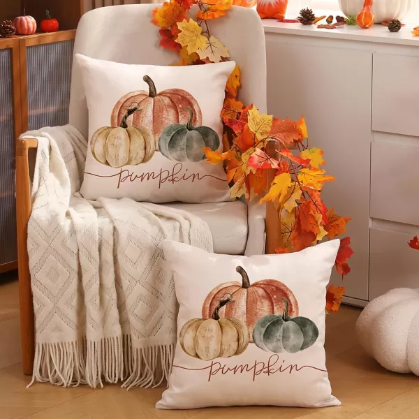 DFXSZ Fall Pillow Covers 12x20 Inch Fall Autumn Thanksgiving Orange Pumpkins Lumbar Pillow Covers Polyester Fall Decoration for Home Couch YZT71A12Orange White Green Pumpkin