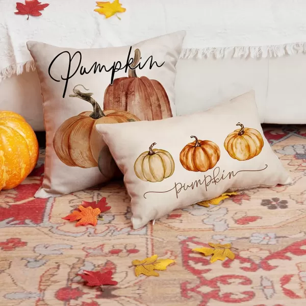 DFXSZ Fall Pillow Covers 12x20 Inch Fall Autumn Thanksgiving Orange Pumpkins Lumbar Pillow Covers Polyester Fall Decoration for Home Couch YZT71A12Three Color Pumpkins