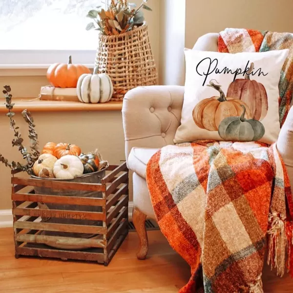 DFXSZ Fall Pillow Covers 18x18 inch Set of 4 Fall Decorational Orange Green Pumpkins Decor Autumn Outdoor Pillow Cover Thanksgiving Decoration for Home Couch 207AOrange