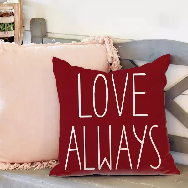 DFXSZ Valentines Day Pillow Covers 18x18 Lovebird Love You Sweetheart Be Mine XXOO Sweet Heart Hello Valenine Love Always Pillowcase for Valentines Day Throw Pillows Cushion Valentines Decorations