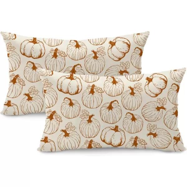 DFXSZ Fall Pillow Covers 18x18 inch Set of 2 Fall Decoration White Lines Pumpkin Decor Autumn Outdoor Pillow Cover Thanksgiving Decoration for Home Couch 128COrange Lines Pumpkin
