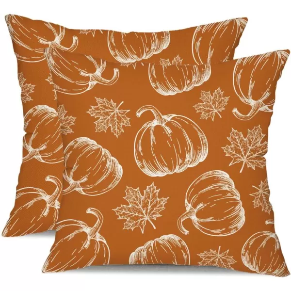 DFXSZ Fall Pillow Covers 18x18 inch Set of 2 Fall Decoration White Lines Pumpkin Decor Autumn Outdoor Pillow Cover Thanksgiving Decoration for Home Couch 128CWhite Pumpkin Maple Leaf
