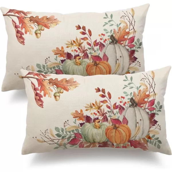 DFXSZ Fall Pillow Covers 18x18 inch Set of 2 Orange White Pumpkin Fallen Leaves Decorative Outdoor Throw Pillow Covers Autumn Thanksgiving Farmhouse Decoration for Home Couch TH27A18Multicolor