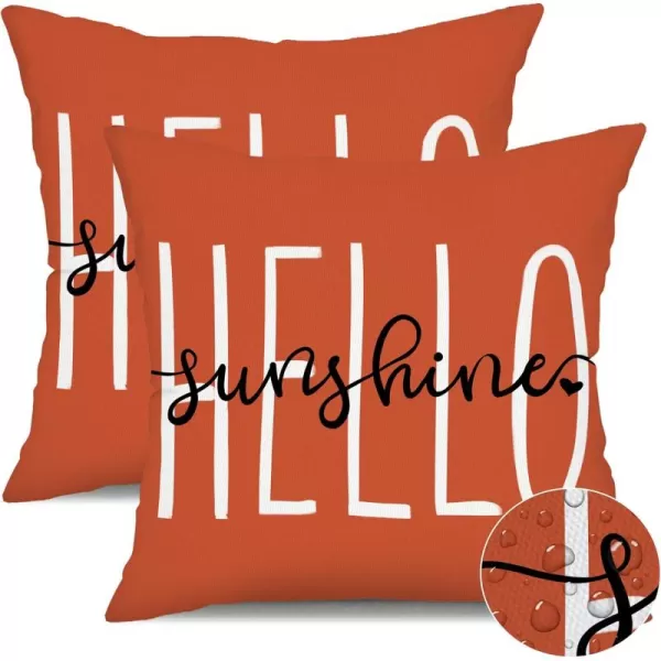 DFXSZ Outdoor Pillow Covers 18x18 Inch Set of 2 Hello Sunshine Decor Yellow Waterproof Throw Pillow Covers Summer Outdoor Waterproof Pillow Covers Decor for Patio Funiture Garden Sofa Couch 020BDirty Orange