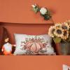 imageDFXSZ Fall Pillow Covers 12x20 Inch Outdoor Throw Pillow Cover Fall Autumn Thanksgiving Pumpkin Eucalyptus Leaves Harvest Decoration for Home couch