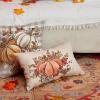 imageDFXSZ Fall Pillow Covers 12x20 Inch Outdoor Throw Pillow Cover Fall Autumn Thanksgiving Pumpkin Eucalyptus Leaves Harvest Decoration for Home couch