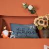 imageDFXSZ Fall Pillow Covers 12x20 Inch Outdoor Throw Pillow Covers Hello Pumpkin Decorative Blue Throw Pillow Cushion Cases for Home Couch