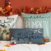 imageDFXSZ Fall Pillow Covers 12x20 Inch Outdoor Throw Pillow Covers Hello Pumpkin Decorative Blue Throw Pillow Cushion Cases for Home Couch
