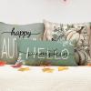 imageDFXSZ Fall Pillow Covers 12x20 Inch Outdoor Throw Pillow Covers Hello Pumpkin Decorative Green Throw Pillow Cushion Cases for Home Couch