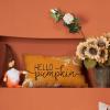 imageDFXSZ Fall Pillow Covers 12x20 Inch Outdoor Throw Pillow Covers Hello Pumpkin Decorative Yellow Throw Pillow Cushion Cases for Home Couch