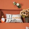 imageDFXSZ Fall Pillow Covers Hello Pumpkin Cushion Cover Autumn Decor Outdoor Pillow Linen Square Pillow Cover DecorativeDecoration for Home Couch 12 x 20