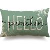 imageDFXSZ Fall Pillow Covers 12x20 Inch Outdoor Throw Pillow Covers Hello Pumpkin Decorative Green Throw Pillow Cushion Cases for Home Couch