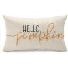 imageDFXSZ Fall Pillow Covers Hello Pumpkin Cushion Cover Autumn Decor Pumpkins Pillow Cover Outdoor Pillow Linen Square Throw Pillow Cover Decorative for Home Couch 12 x 20
