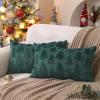 imageDFXSZ Christmas Tree Pillow Covers 18x18 inch Set of 2 Christmas Decoration Green Soft Plush Faux Fur Jacquard Throw Pillows for Bedroom Sofa Holiday Festivals Winter Home Decor PTK006A18Green