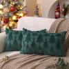 imageDFXSZ Christmas Tree Pillow Covers 18x18 inch Set of 2 Christmas Decoration Green Soft Plush Faux Fur Jacquard Throw Pillows for Bedroom Sofa Holiday Festivals Winter Home Decor PTK006A18Green Star Tree