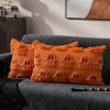 imageDFXSZ Halloween Pillow Covers 16x16 inch Set of 2 Beige Skeletont Halloween Decorations Soft Plush Faux Fur Wool Couch Cushion Case for Chair Sofa Bedroom Living Room Home Decor PTK04C16Orange Ghost