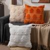 imageDFXSZ Halloween Pillow Covers 16x16 inch Set of 2 Beige Skeletont Halloween Decorations Soft Plush Faux Fur Wool Couch Cushion Case for Chair Sofa Bedroom Living Room Home Decor PTK04C16Whiteghost
