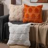 imageDFXSZ Halloween Pillow Covers 16x16 inch Set of 2 Beige Skeletont Halloween Decorations Soft Plush Faux Fur Wool Couch Cushion Case for Chair Sofa Bedroom Living Room Home Decor PTK04C16Orangeghost