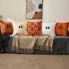 imageDFXSZ Halloween Pillow Covers 18x18 inch Set of 2 Black Eyes White Ghost Throw Pillow Cases Soft Plush Faux Fur Wool Couch Cushion Case for Chair Sofa Bedroom Living Room Home Decor PTK056A18Blackorange Pumpkins