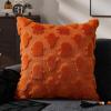 imageDFXSZ Halloween Pillow Covers 18x18 inch Set of 2 Black Ghost Throw Pillow Cases Soft Plush Faux Fur Wool Couch Cushion Case for Chair Sofa Bedroom Living Room Home Decor PTK03F18Orange Ghost