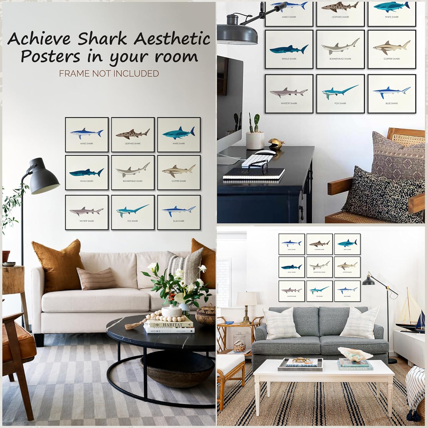 97 Decor Whale Shark Poster  Shark Decor for Boys Room Sea Life Shark Pictures Wall Art Vintage Sharks Knowledge Prints Sea Creature Nursery Artwork for Kids Bedroom Decoration 8x10 UNFRAMEDShark
