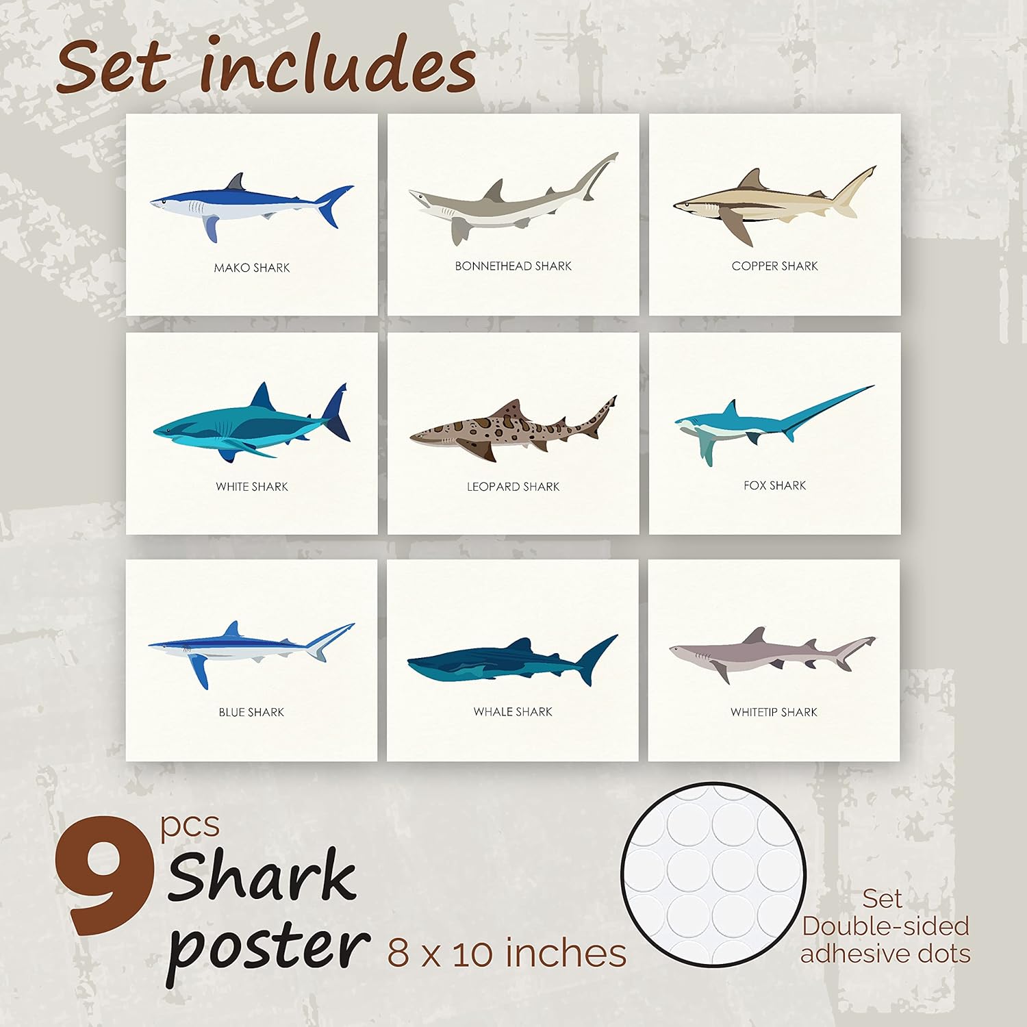 97 Decor Whale Shark Poster  Shark Decor for Boys Room Sea Life Shark Pictures Wall Art Vintage Sharks Knowledge Prints Sea Creature Nursery Artwork for Kids Bedroom Decoration 8x10 UNFRAMEDShark