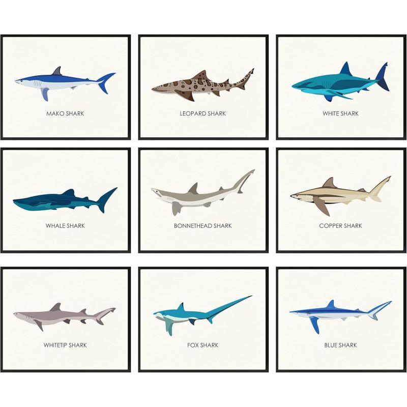 97 Decor Whale Shark Poster  Shark Decor for Boys Room Sea Life Shark Pictures Wall Art Vintage Sharks Knowledge Prints Sea Creature Nursery Artwork for Kids Bedroom Decoration 8x10 UNFRAMEDShark