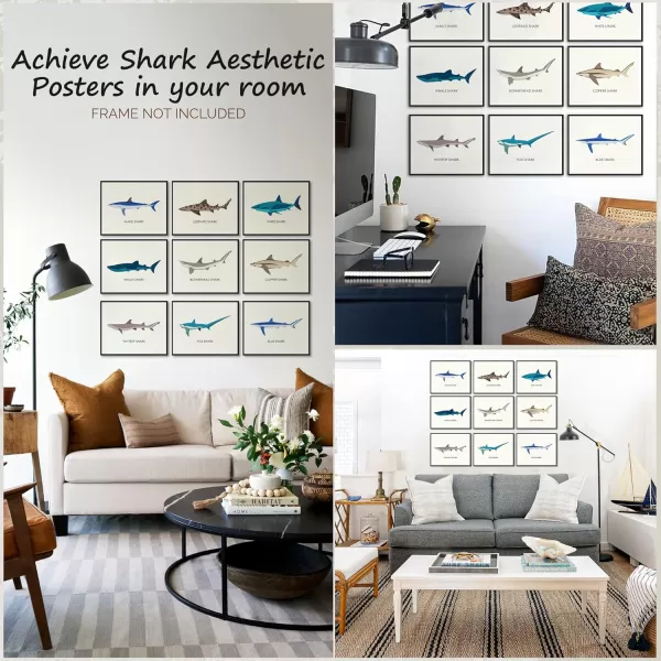 97 Decor Whale Shark Poster  Shark Decor for Boys Room Sea Life Shark Pictures Wall Art Vintage Sharks Knowledge Prints Sea Creature Nursery Artwork for Kids Bedroom Decoration 8x10 UNFRAMEDShark