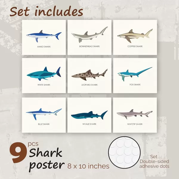 97 Decor Whale Shark Poster  Shark Decor for Boys Room Sea Life Shark Pictures Wall Art Vintage Sharks Knowledge Prints Sea Creature Nursery Artwork for Kids Bedroom Decoration 8x10 UNFRAMEDShark