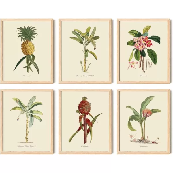 97 DECOR Vintage Tropical Botanical Wall Art  Tropical Plants Prints Tropical Wall Decor Hawaiian Botanical Posters Pineapple Pictures Banana Palm Tree Painting for Home Decoration 8x10 UNFRAMED