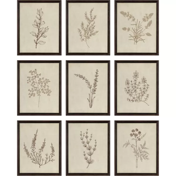 Botanical