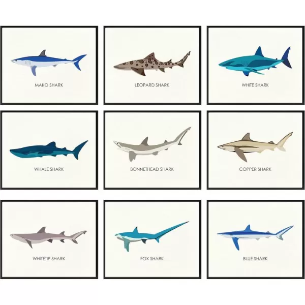 97 Decor Whale Shark Poster  Shark Decor for Boys Room Sea Life Shark Pictures Wall Art Vintage Sharks Knowledge Prints Sea Creature Nursery Artwork for Kids Bedroom Decoration 8x10 UNFRAMEDShark