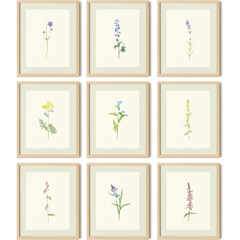 97 Decor Vintage Botanical Wall Art  Antique Botanical Prints Rustic Floral Wall Art Flower Art Wall Decor Wildflower Posters Botany Pictures for Home Bedroom Decorations 8x10 UNFRAMEDBotanical