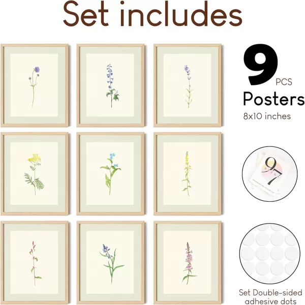 97 Decor Vintage Botanical Wall Art  Antique Botanical Prints Rustic Floral Wall Art Flower Art Wall Decor Wildflower Posters Botany Pictures for Home Bedroom Decorations 8x10 UNFRAMEDBotanical