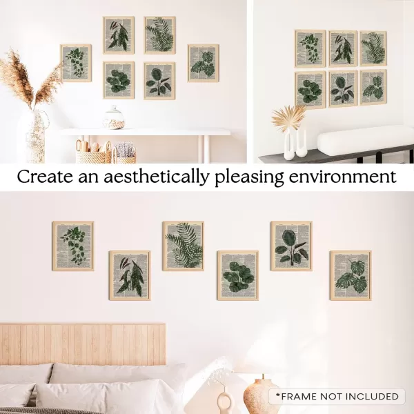 97 Decor Vintage Plant Poster  Plants Vintage Wall Art Prints Green Plant Wall Art Upcycled Dictionary Poster Plant Pictures Botanical Book Pages Wall Decor for Home Bedroom 8x10 UnframedPlant Themed dictionary