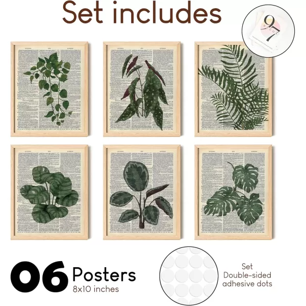 97 Decor Vintage Plant Poster  Plants Vintage Wall Art Prints Green Plant Wall Art Upcycled Dictionary Poster Plant Pictures Botanical Book Pages Wall Decor for Home Bedroom 8x10 UnframedPlant Themed dictionary