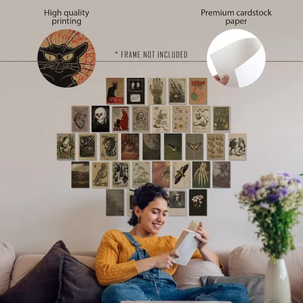 97 Decor Vintage Posters for Room Aesthetic  35pcs Vintage Art Wall Collage Kit Cottage Core Room Decor Earthy Forest Animal Wall Art Prints Cottagecore Posters Nature Decor for Bedroom 4quotx6quotVintage