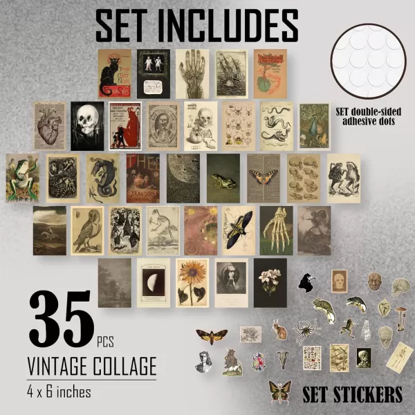 97 Decor Vintage Posters for Room Aesthetic  35pcs Vintage Art Wall Collage Kit Cottage Core Room Decor Earthy Forest Animal Wall Art Prints Cottagecore Posters Nature Decor for Bedroom 4quotx6quotVintage