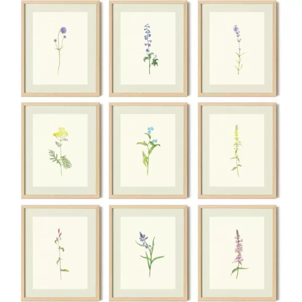 97 Decor Vintage Botanical Wall Art  Antique Botanical Prints Rustic Floral Wall Art Flower Art Wall Decor Wildflower Posters Botany Pictures for Home Bedroom Decorations 8x10 UNFRAMEDBotanical