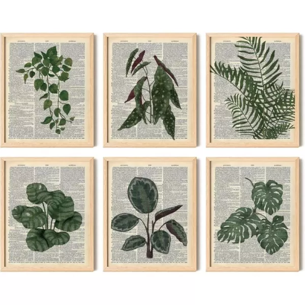 97 Decor Vintage Plant Poster  Plants Vintage Wall Art Prints Green Plant Wall Art Upcycled Dictionary Poster Plant Pictures Botanical Book Pages Wall Decor for Home Bedroom 8x10 UnframedPlant Themed dictionary