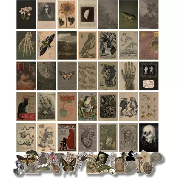 97 Decor Vintage Posters for Room Aesthetic  35pcs Vintage Art Wall Collage Kit Cottage Core Room Decor Earthy Forest Animal Wall Art Prints Cottagecore Posters Nature Decor for Bedroom 4quotx6quotVintage