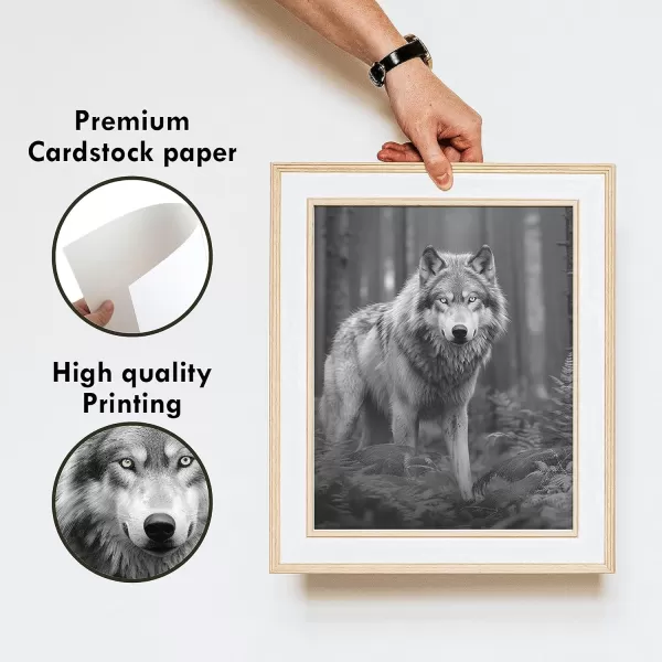 97 DECOR Black Wolf Decor  Wolf Poster Prints Wolf Wall Decor Art White Wolf Pictures for Home Wolf Decorations for Bedroom Grey Wolves Photo Wildlife Animal Posters for Boys Room 8x10 UNFRAMED