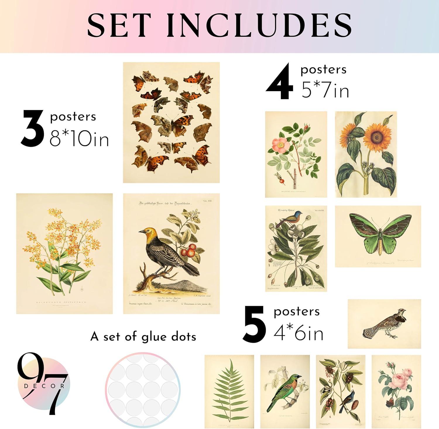 image97 Decor Vintage Botanical Wall Art Decor  Plant Posters For Room Aesthetic Vintage Botanical Prints Nature Wall Decor Floral Pictures Butterfly Bird Art For Home Bedroom Decoration 8x10 UnframedVintage Botanical Gx8x10