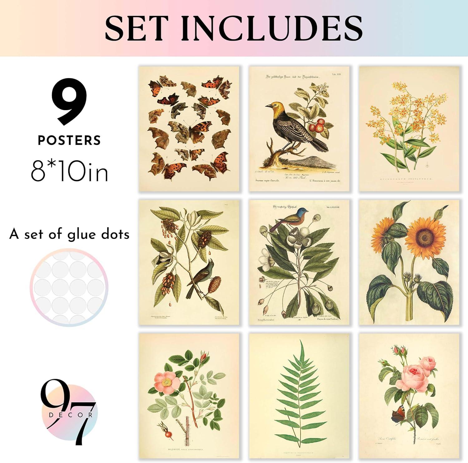 image97 Decor Vintage Botanical Wall Art Decor  Plant Posters For Room Aesthetic Vintage Botanical Prints Nature Wall Decor Floral Pictures Butterfly Bird Art For Home Bedroom Decoration 8x10 UnframedBotanical 9x8x10