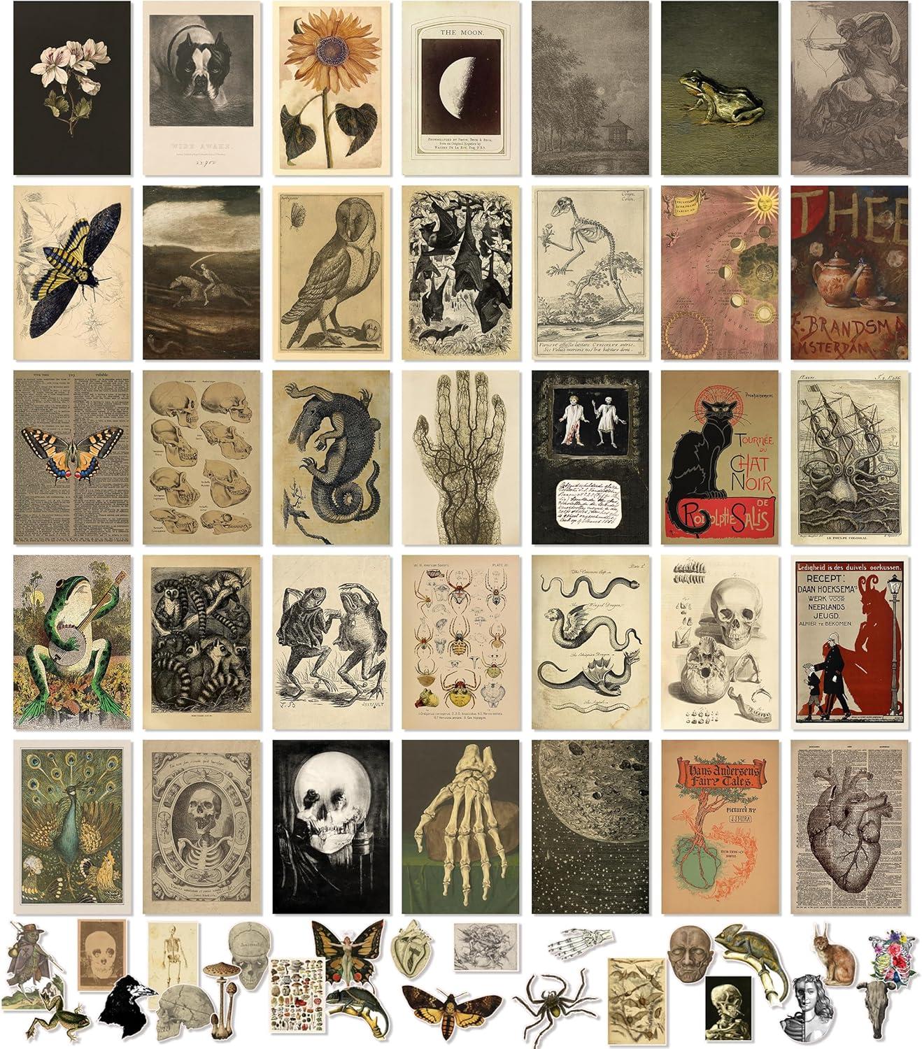image97 Decor Vintage Wall Art Prints  French Antique Decor Vintage Pictures Moody Gallery Art 12 Count Framed Vertical Rectangular Distressed Finish Indoor Use Wall Mount