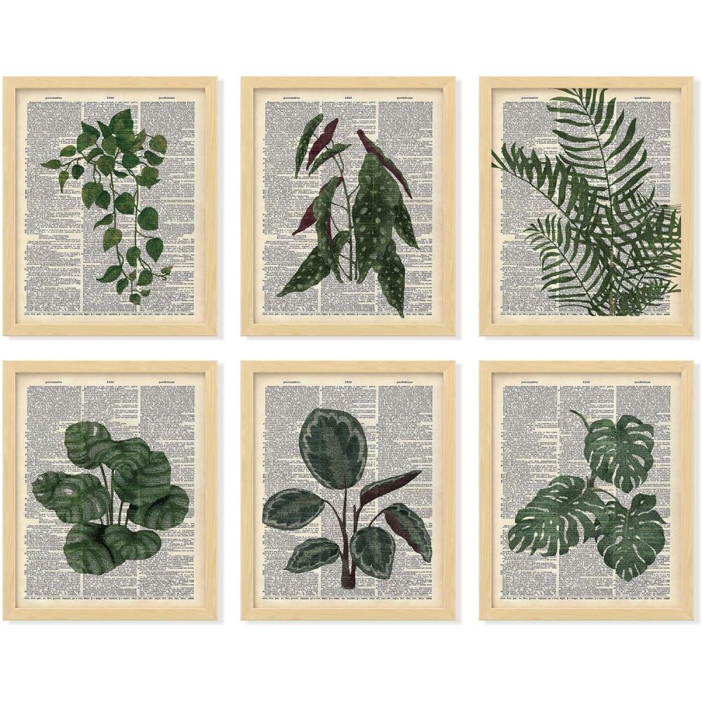 image97 Decor Vintage Botanical Wall Art  Greenery Plant Posters For Room Aesthetic Retro Green Plant Pictures Wall Decor Vintage Botanical Prints For Home Bedroom Office Decorations 8x 10 UnframedBotanical Antique 6x8x10