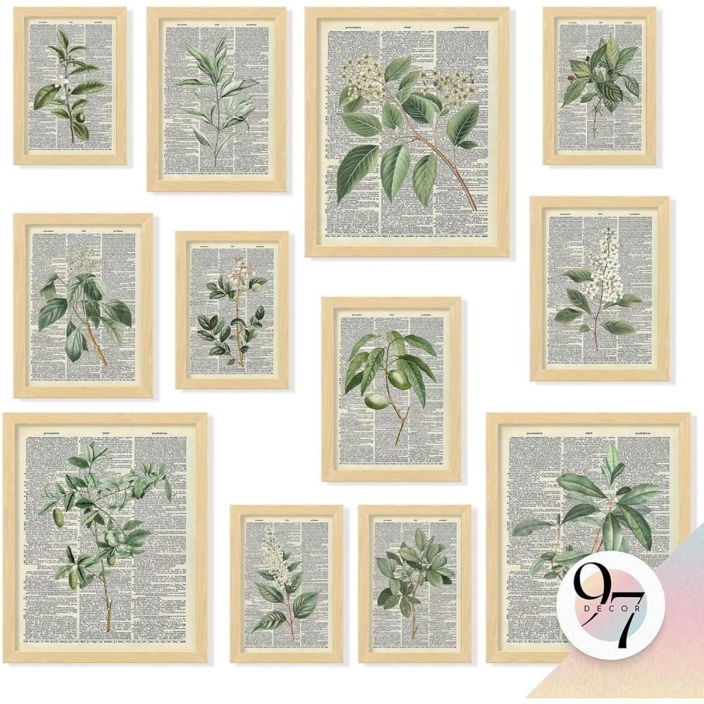 image97 Decor Vintage Botanical Wall Art  Greenery Plant Posters For Room Aesthetic Retro Green Plant Pictures Wall Decor Vintage Botanical Prints For Home Bedroom Office Decorations 8x 10 UnframedBotanical Retro Gx8x10